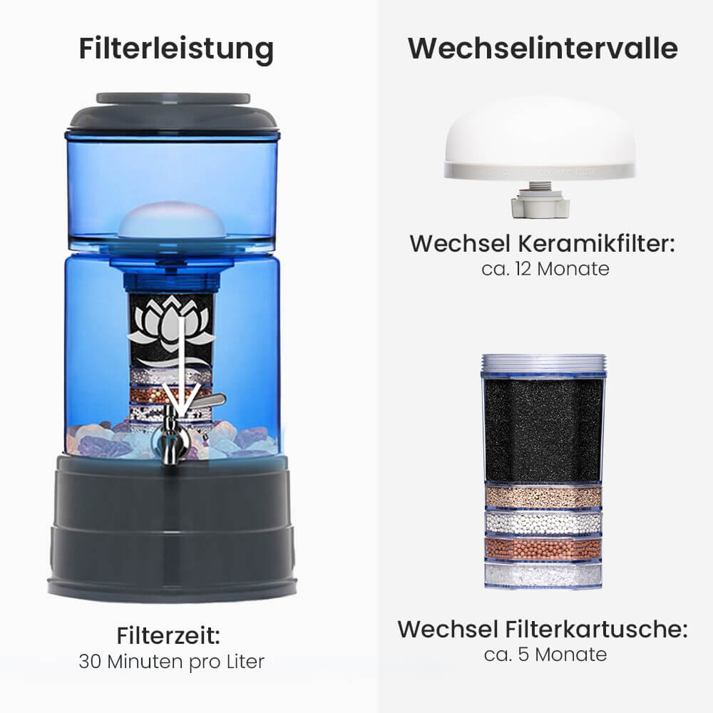 Wasserfilter Lotus Fontana Klassik Mini Glas-Wasserspender 5L Blau wechselintervalle Anthrazit